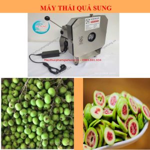Máy Thái Quả Sung