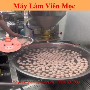 Máy Viên Thịt Công Nghiệp